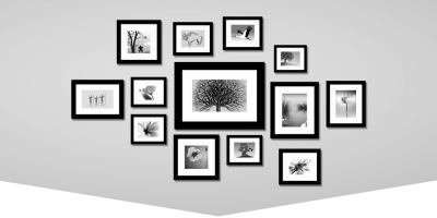 4 Benefits Offered By Picture Framing Service in Kingston